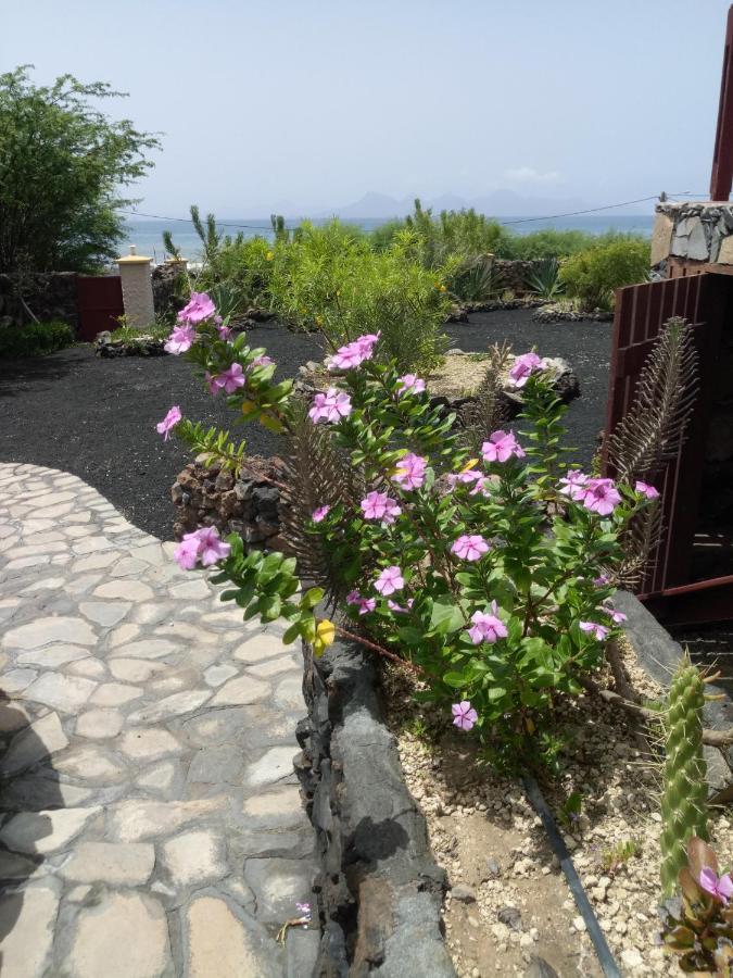 Coin De Paradis,Pavillon Doucimar Porto Novo エクステリア 写真